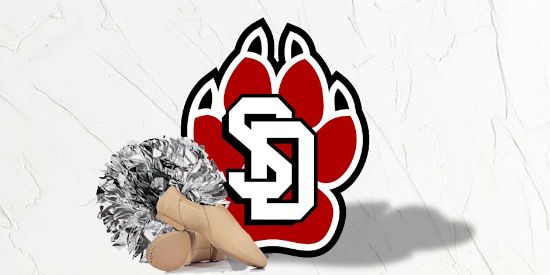 Picture of USD Dance Team Fees