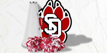 Picture of USD Cheer Team Fees