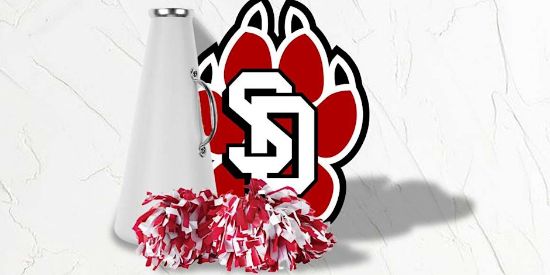 Picture of USD Cheer Team Fees