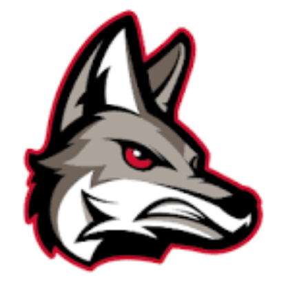 Picture of USD Cheer 2026-27 Tryouts  - Current USD Cheer Team Members